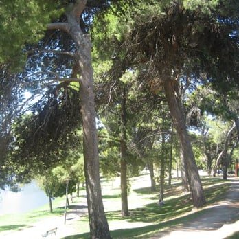 Grundy Gardens - Grundy Gardens @ Victoria Drive, Adelaide. - Parks Near Me - Adelaide, SA
