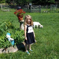 The Garden On Longhollow Pike - And pet the baby goats!