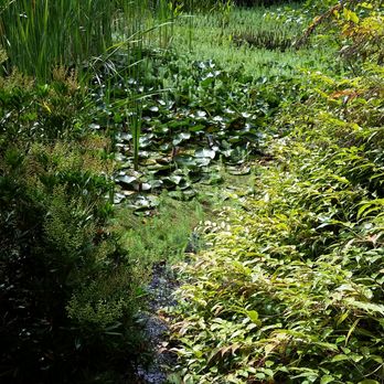 Hughes Water Gardens - Beautiful displays of pond options! - Nurseries & Gardening Near Me - Tualatin, Oregon