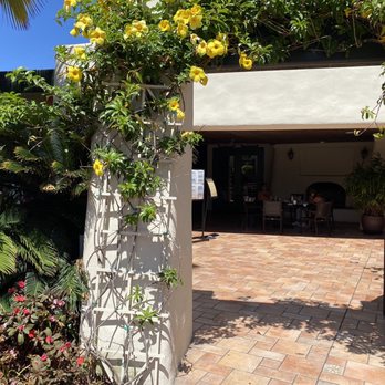 Tangier Bar - a patio with yellow flowers - Lounges Near Me - San Diego, California