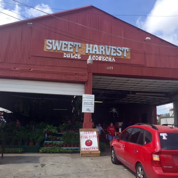 Sweet Harvest Shed - Dallas Farmers market didn't have produce, a few lenders have moved to this shed across the street - Grocery Near Me - Dallas, Texas Sweet Harvest Shed - Dallas Farmers market didn't have produce, a few lenders have moved to this shed across the street - Grocery Near Me - Dallas, Texas