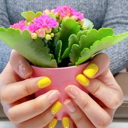Apple Nails