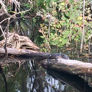 Sea Serpent Tour - Boat Tours Near Me - Saint Augustine, Florida