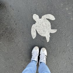 Cute little floor path markers