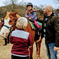 Springs Equestrian - Three year old first timer A. Harpp