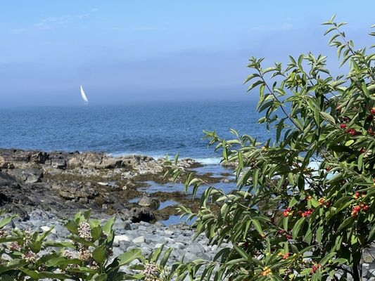 Marginal Way Preservation Fund by null