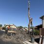Photo of Royal Tree Service