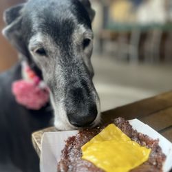 Mac's Local Eats - Kylie got her own burger patty!