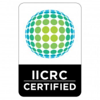 Top Remediation Specialist - Damage Restoration Near Me Top Remediation Specialist - Damage Restoration Near Me