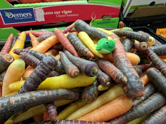 Maisonneuve Market by null