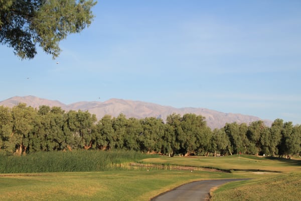 Furnace Creek Ranch Golf Course by null