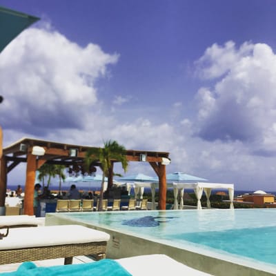 The Palm at Playa by null