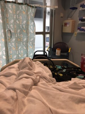 Methodist Hospital by null