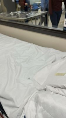PIMA MEDICAL INSTITUTE - DENVER - Updated June 2026 - 15 Photos & 36 ...