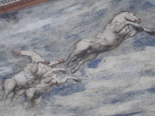 Museo Castello del Buonconsiglio by null