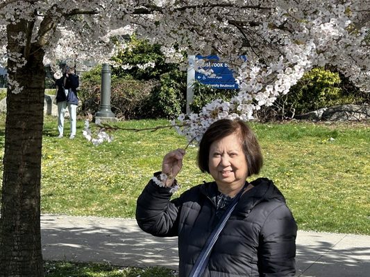 The University of British Columbia by null