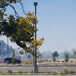 Confluence Park Santa Ana River Trail - The fire in Santa Ana riverbed looks like is under control ~ just white smokes and that fire smell