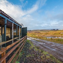 Clay Pigeon scotland - What ever the weather we can shoot