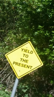 Spirit Rock Meditation Center by null