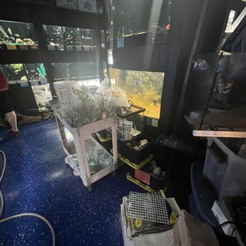 Petworld - Aquarium Services Near Me - Haltom City, Texas Petworld - Aquarium Services Near Me - Haltom City, Texas