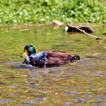 Crescent Bend Nature Park - Parks Near Me - Schertz, Texas