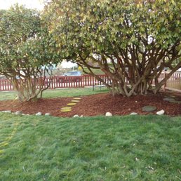 Really makes yard a show piece. Really makes yard a show piece.