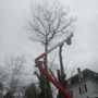 Community Tree Services
