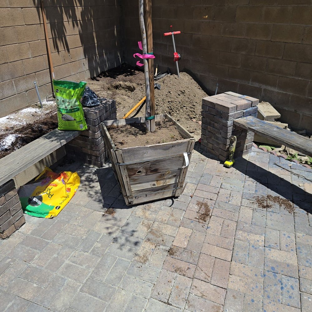 Sunshine Growers Nursery - It's 8 feet from where I wanted it. - Nurseries & Gardening Near Me - Eastvale, California