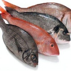 Oregon Seafood