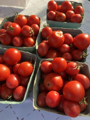 Lakewood Tower Farmers Market by null