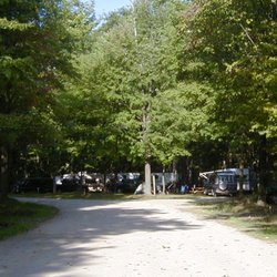 Lake Village Campground - Road leading into campgropund