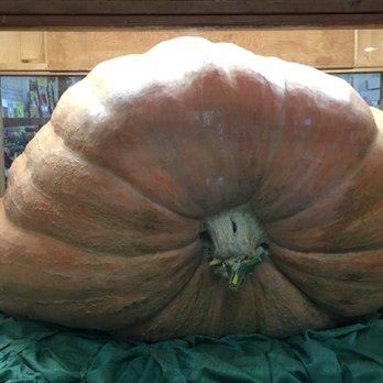 Topsfield Fair - 1st place pumpkin broke fair record - Venues & Event Spaces Near Me - Topsfield, Massachusetts
