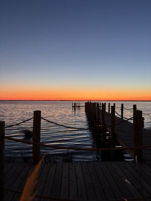 The Blue Point by null