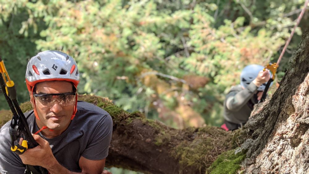 Tree Climbing at Silver Falls Logo