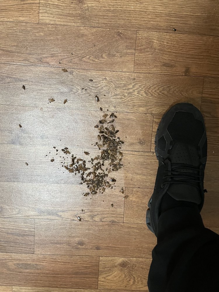 EAGLE POINT VILLAGE APARTMENTS 35 Photos Apartments 830 Allonby