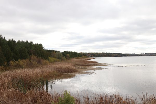 Island Lake Conservation Area by null