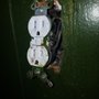 Photo of Davidsons Electric