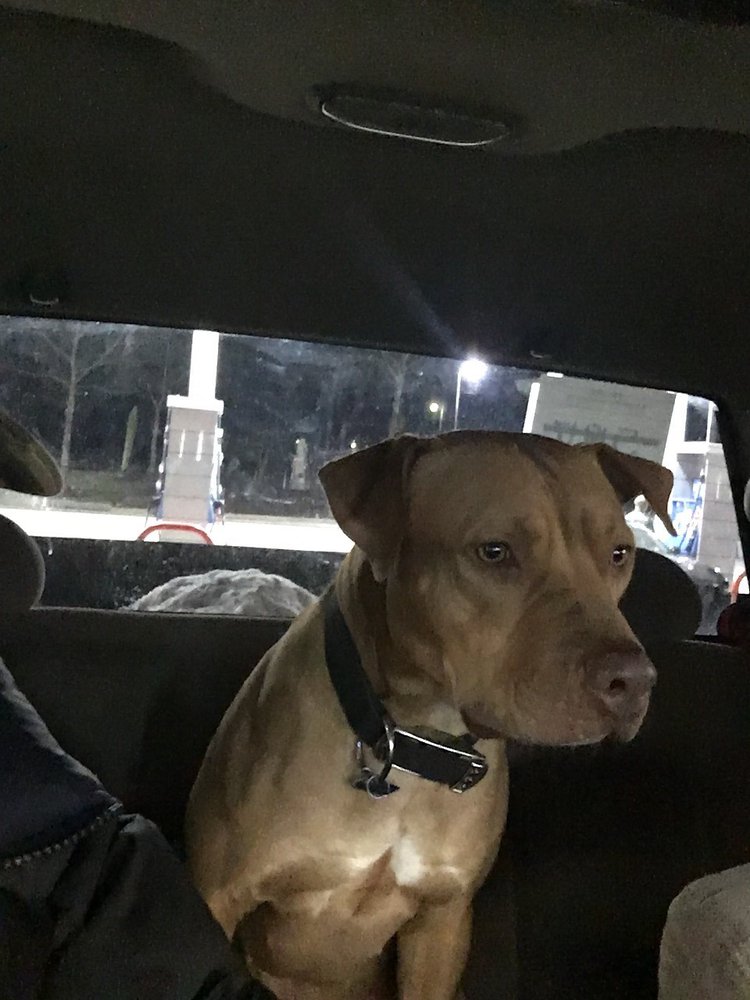 WALTHALL EXXON Updated August 2024 15700 Woods Edge Rd, Colonial