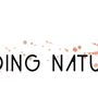 Photo of Microblading Natural