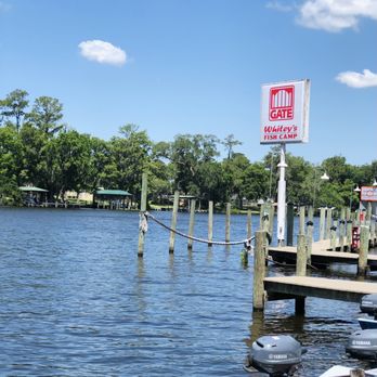 Whiteys Fish Camp - Seafood Near Me - Fleming Island, Florida