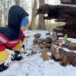 South Mountain Fairy Trail - Hello little gnome!