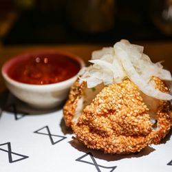 user provided Chinese Tuxedo photo