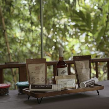 Lydgate Farms - A small sample of the goods that come from the cocoa trees. - Botanical Gardens Near Me - Kapaa, Hawaii Lydgate Farms - A small sample of the goods that come from the cocoa trees. - Botanical Gardens Near Me - Kapaa, Hawaii