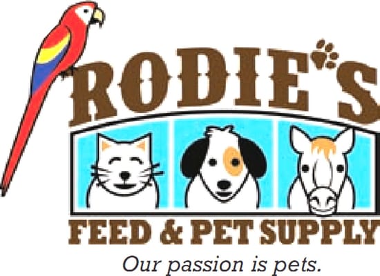 alamo feed & pet supply