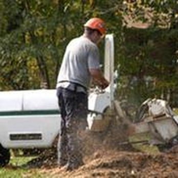 Drefs Tree Service - untitled - Tree Services Near Me - Bellevue, Nebraska Drefs Tree Service - untitled - Tree Services Near Me - Bellevue, Nebraska