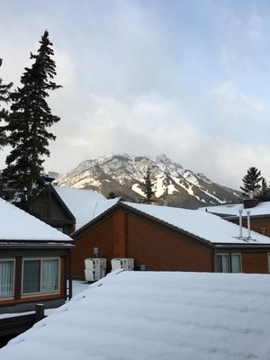 Charltons Banff by null