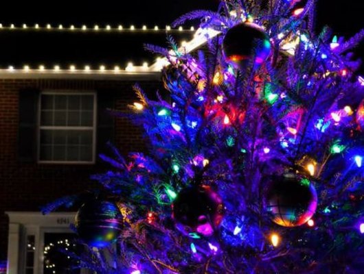 マリモ❗️リリパット341☆ CHRISTMAS LIGHTS AT THE Christmas Light Bros., 41410 Juniper St, Unit 2821, Murrieta