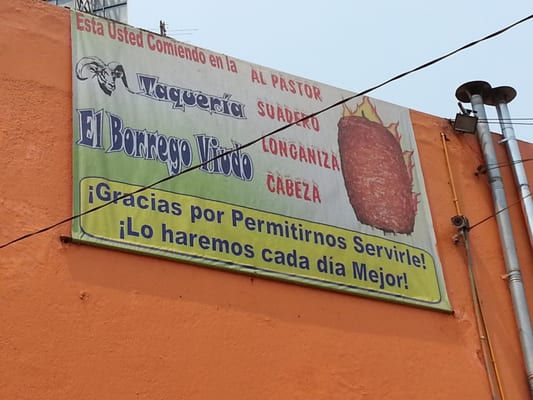 El Borrego Viudo by null