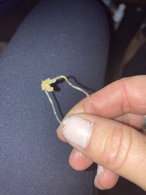 The Fresh Market by null