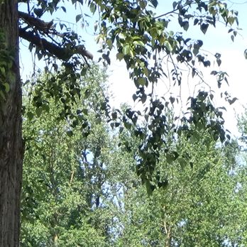 Clackamette Park - Parks Near Me - Oregon City, Oregon